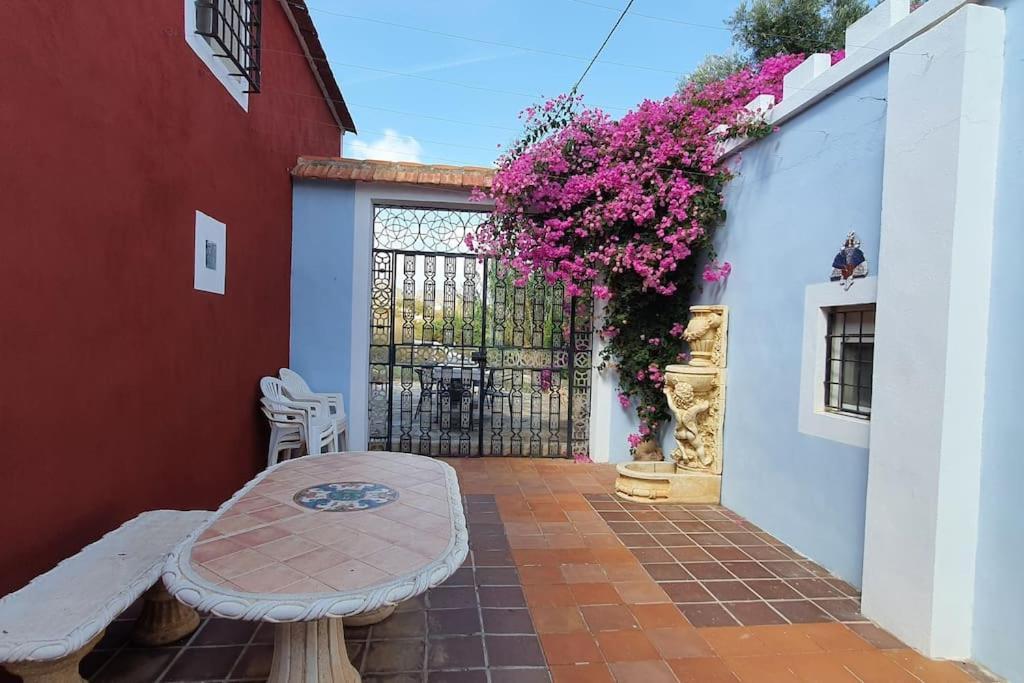 Oasis De Ifre Villa Canada de Gallego Exterior photo