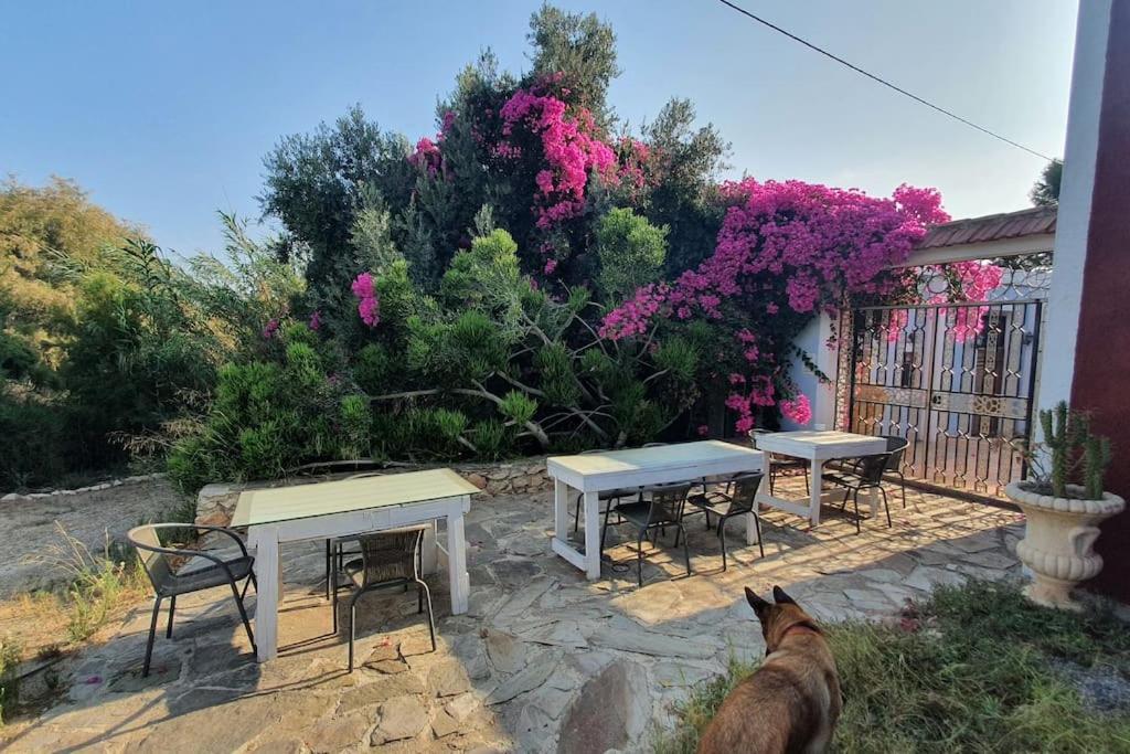 Oasis De Ifre Villa Canada de Gallego Exterior photo
